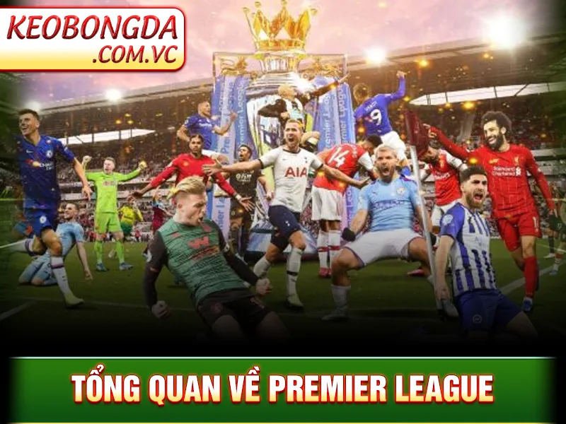 Premier League – Giải Đấu Bóng Đá Khốc Liệt Nhất Hành Tinh